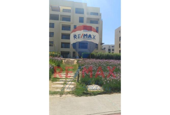 68785099 - Property Image 2