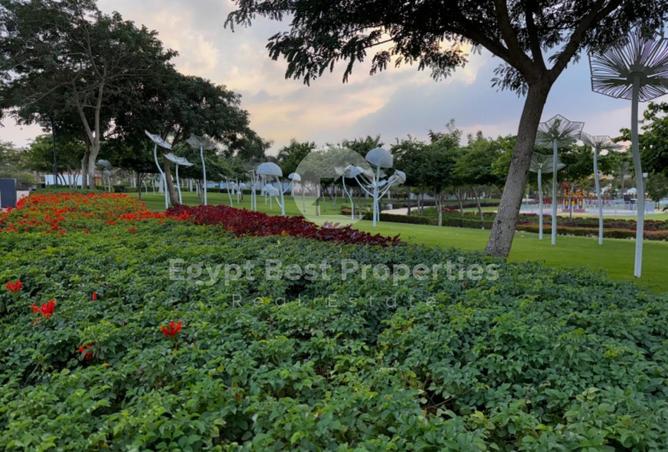 8536580 - صورة العقار 3