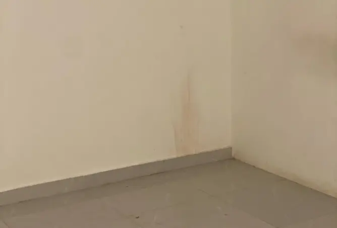 99115033 - صورة العقار 3