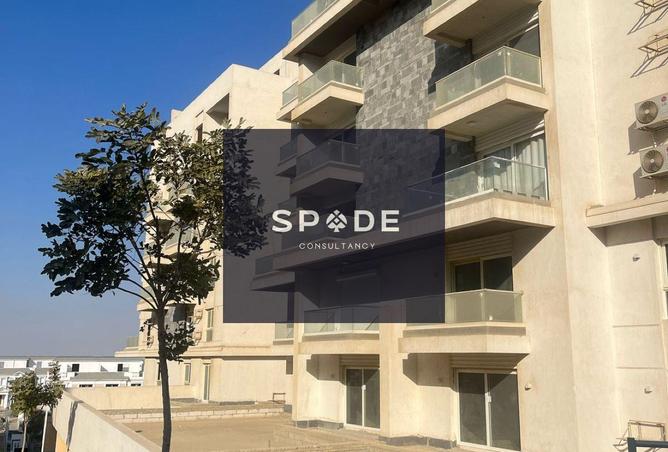 8513233 - Property Image 3