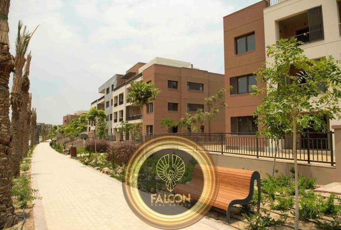 8474083 - Property Image 3