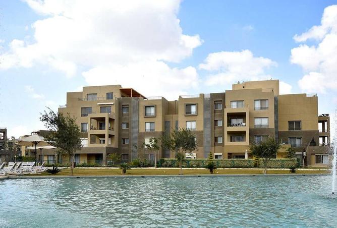 55252627 - Property Image 3