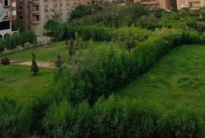 103759951 - Property Image 2