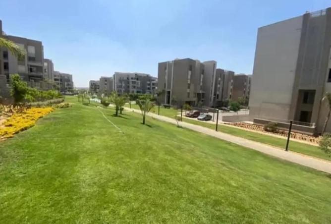 85332361 - Property Image 3