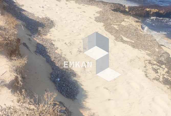 69307927 - صورة العقار 3