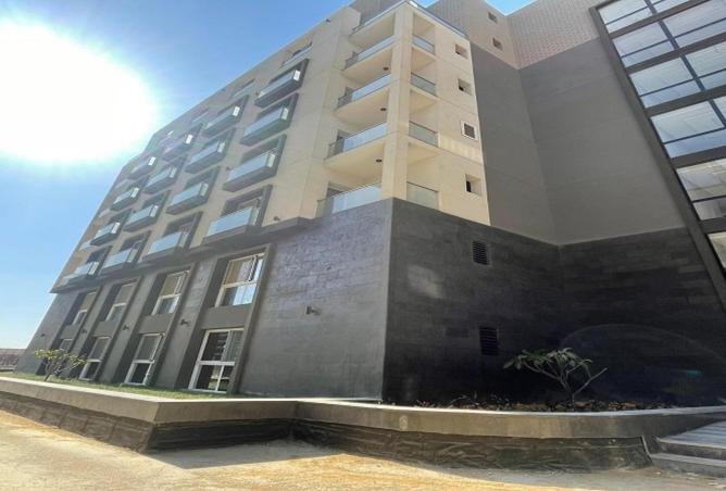 8580619 - Property Image 3