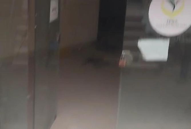 8585798 - صورة العقار 3