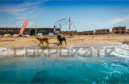Chalet - 2 Bedrooms - 2 Bathrooms for sale in La Hacienda - Ras Sedr - South Sainai