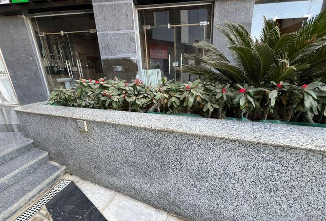 8654956 - صورة العقار 3