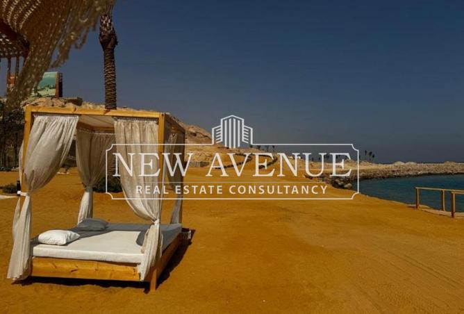 8656621 - Property Image 2