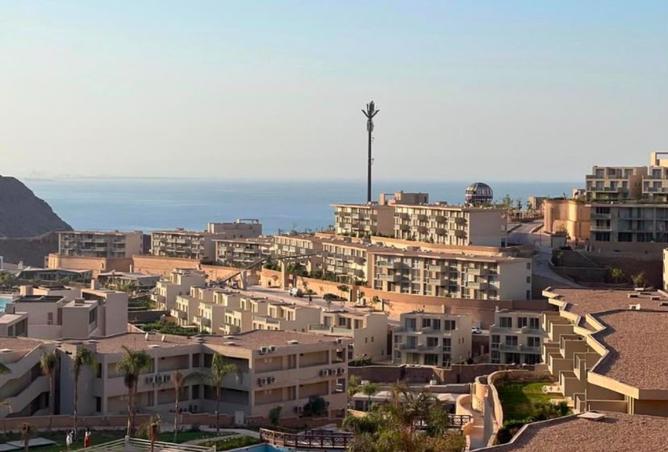 94924058 - صورة العقار 2