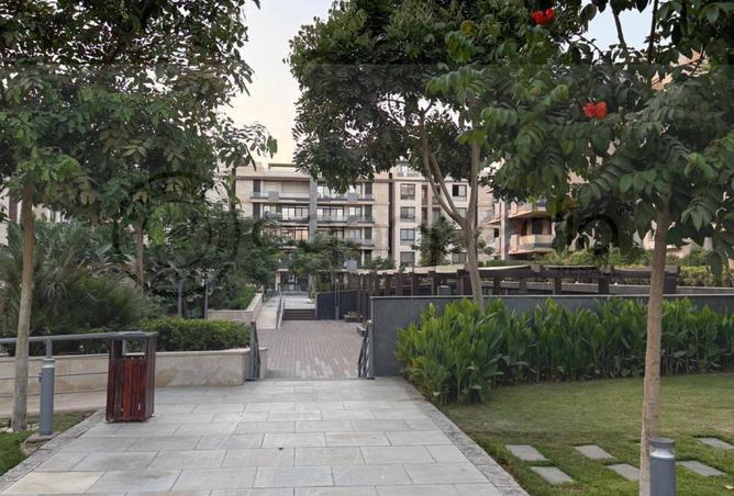 54499387 - Property Image 2