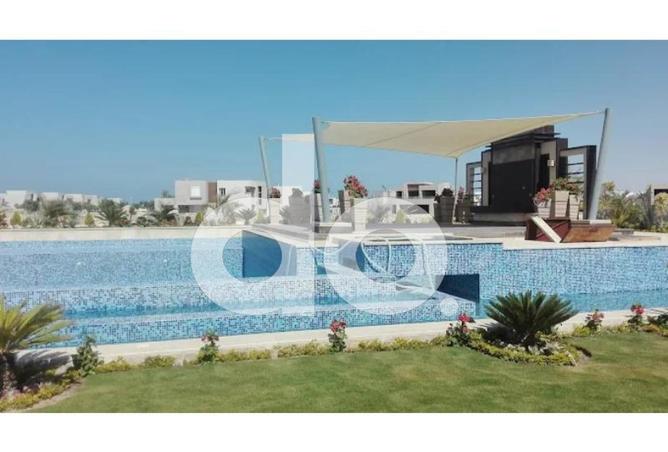 65163921 - Property Image 3