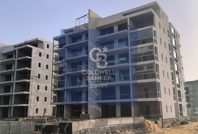 67994547 - Property Image 3