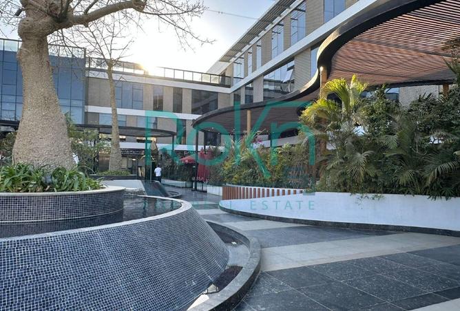 66428055 - Property Image 3