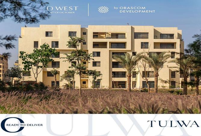 53982875 - Property Image 2