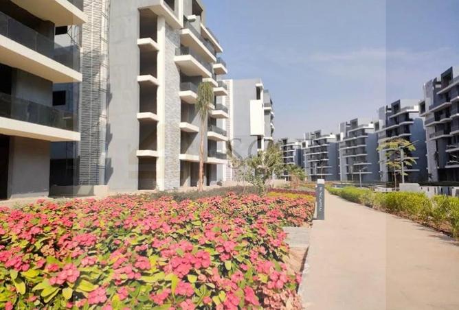 2P9dGPQ293o - Property Image 3