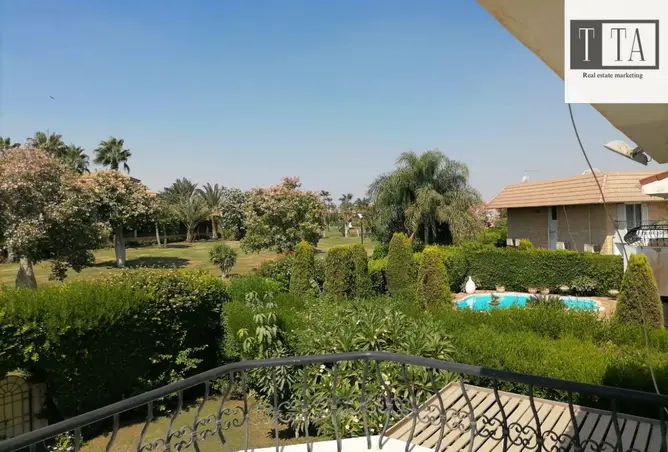 117541868 - صورة العقار 3