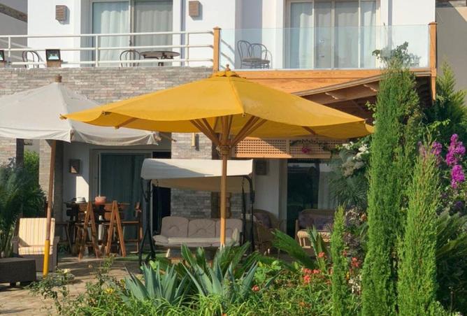 54487537 - Property Image 2