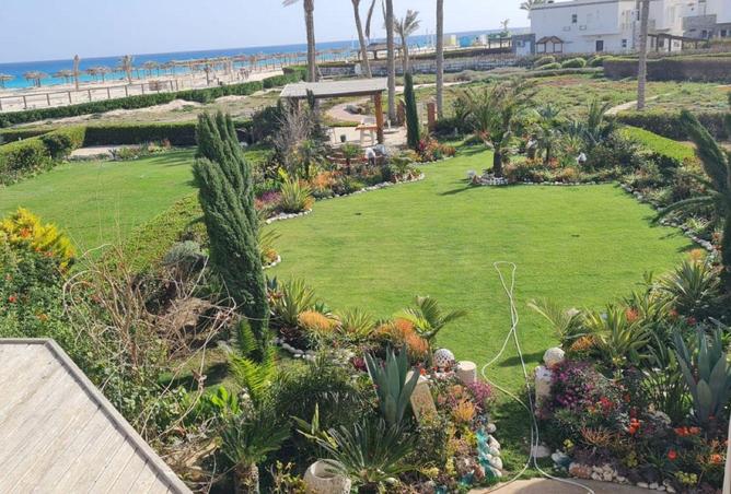 54487537 - Property Main Image