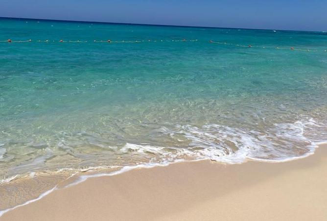 63392597 - صورة العقار 3