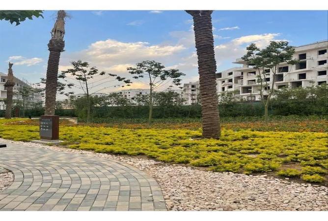 53973918 - صورة العقار 3