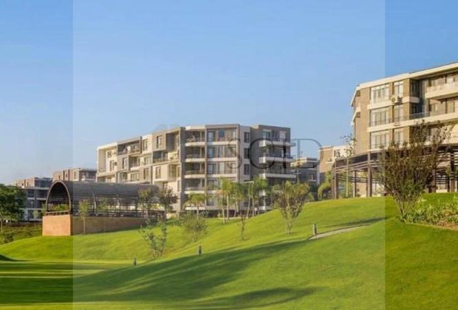 99811651 - Property Image 3