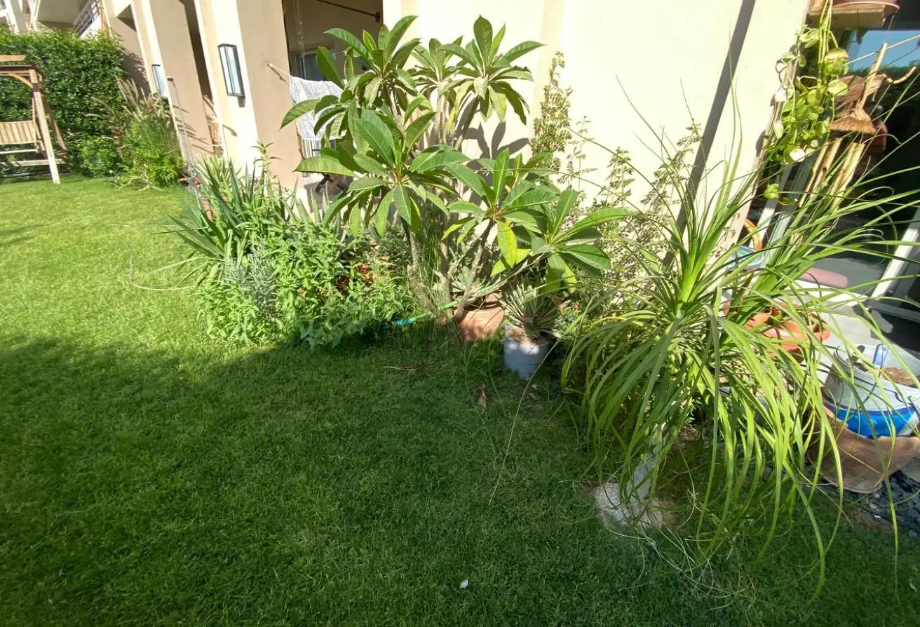 118803337 - الصورة الرئيسية للعقار
