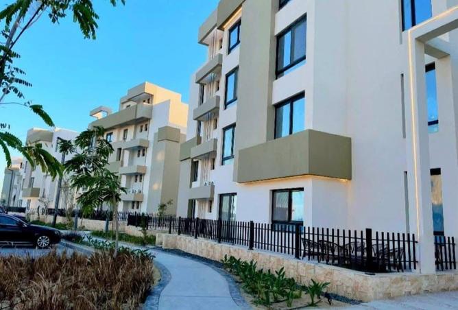 52446638 - Property Image 3