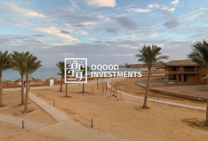 66422967 - صورة العقار 2