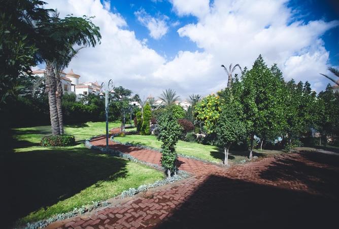 8524967 - صورة العقار 2