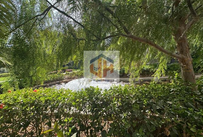 61444709 - Property Image 3