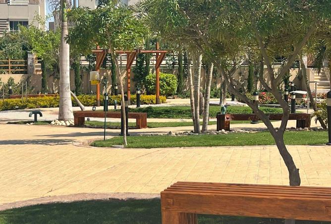 61446433 - صورة العقار 3