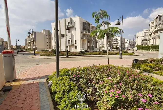 99118546 - Property Image 3