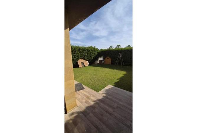 67735645 - صورة العقار 3