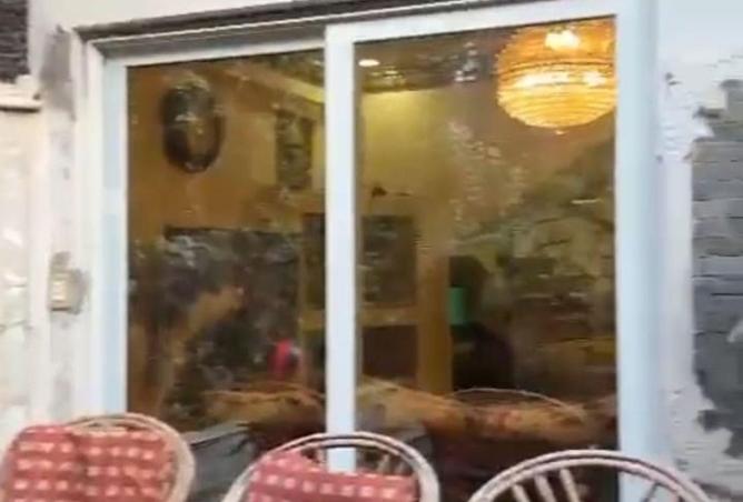 68538709 - صورة العقار 3