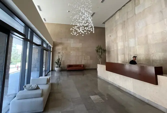 117536486 - Property Image 3