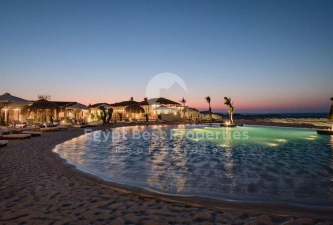 58252702 - Property Image 3