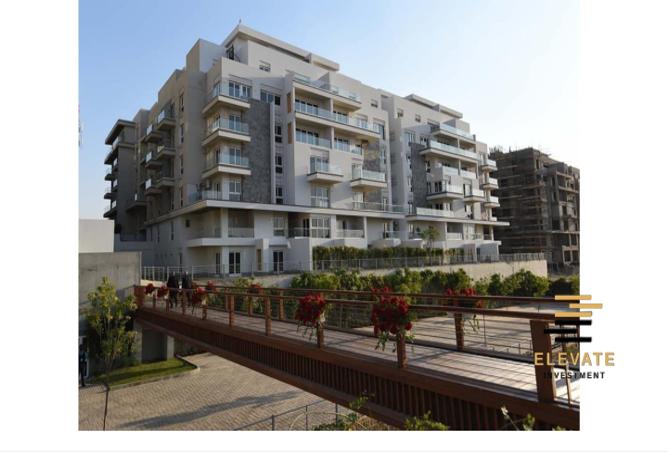 55256960 - صورة العقار 3