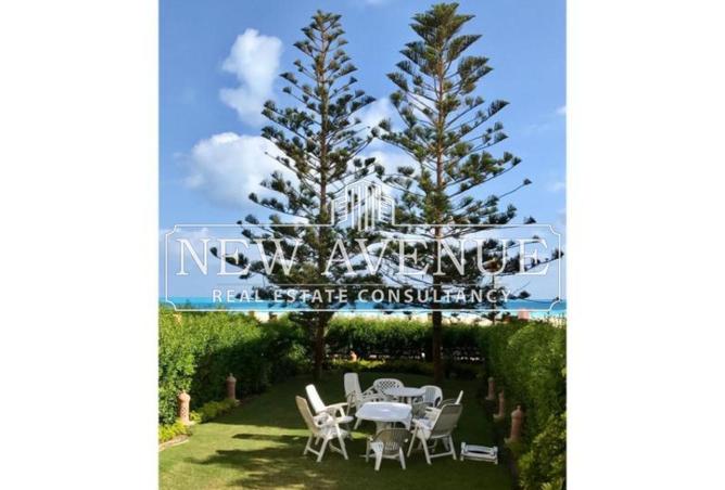 67733966 - Property Image 3