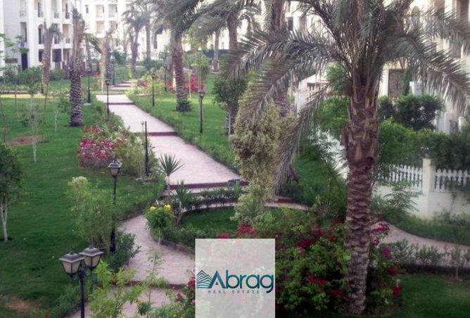 55754391 - صورة العقار 3