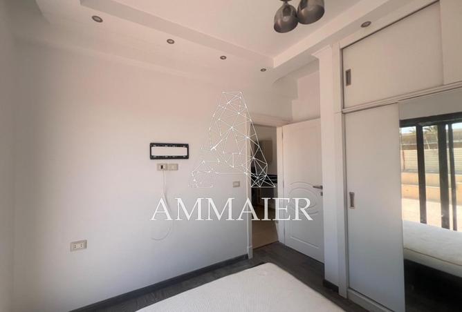 55762020 - Property Image 3