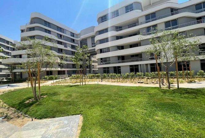 64904985 - صورة العقار 3