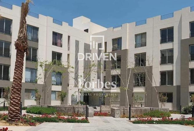 65151627 - صورة العقار 3