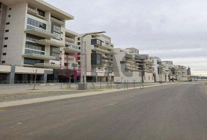 59495290 - Property Image 3