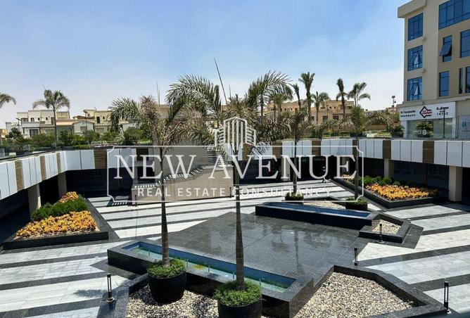 58245797 - Property Image 2