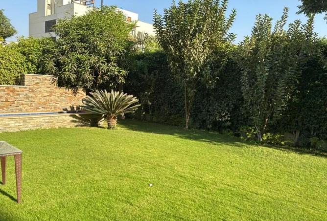 52195625 - صورة العقار 3