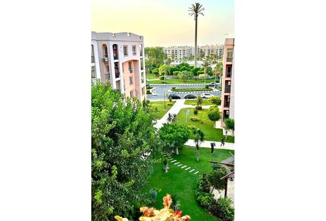 67742853 - صورة العقار 3