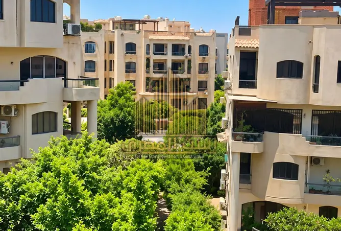 119067275 - Property Image 2