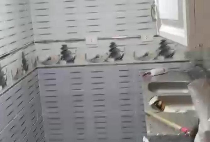 65163455 - صورة العقار 3